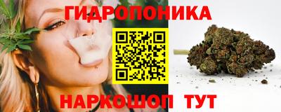 ГАЛЛЮЦИНОГЕННЫЕ ГРИБЫ Заволжье