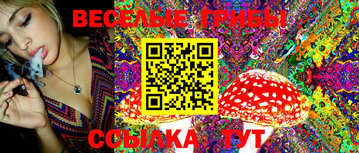 Галлюциногенные грибы Magic Shrooms Красноуфимск
