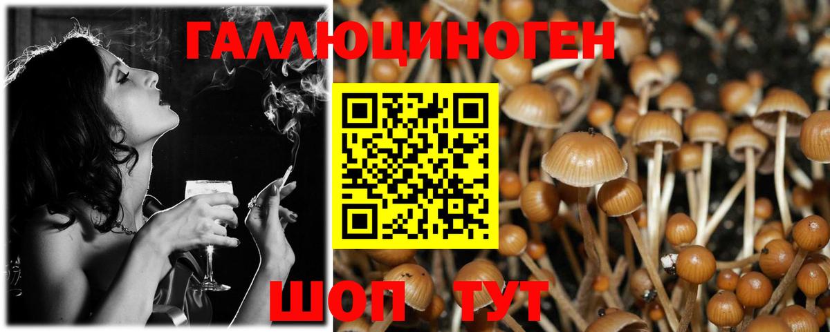 Красноуфимск  где продают   Вход с VPN  Галлюциногенные грибы Psilocybine cubensis 